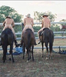 take a ride with the horse 5cb2c8b722b20.jpg