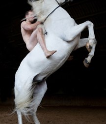take a ride with the horse 5cb2c8b859281.jpg