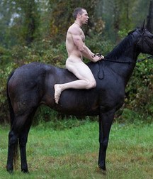 take a ride with the horse 5cb2c8b9a980d.jpg