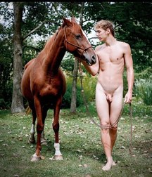 take a ride with the horse 5cb2c8c5391ab.jpg