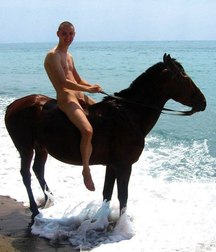 take a ride with the horse 5cb2c8c65ebe7.jpg