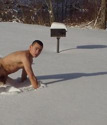 the white snow 5cb4bbee3923c.jpg
