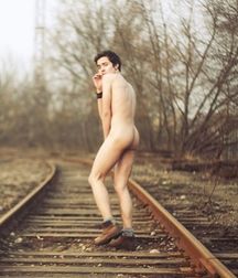 the train tracks 5cbc3054ca5ed.jpg