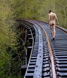 the train tracks 5cbc30621dd94.jpg