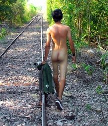the train tracks 5cbc30748eadb.jpg