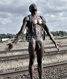 the train tracks 5cbc3080b7b7a.jpg