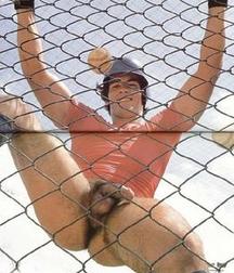 inside the fence 5cbd56bc8f23c.jpg