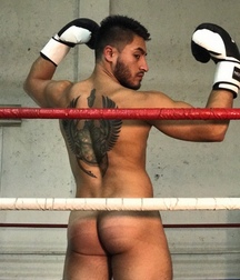 the perfect boxing physique 5cd45ac9183fc.jpg