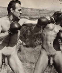 the perfect boxing physique 5cd45ae8ea2d2.jpg