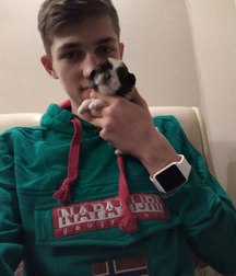 boys and puppies 5cd7a29426d90.jpg