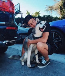 boys and puppies 5cd7a2cab6bf1.jpg