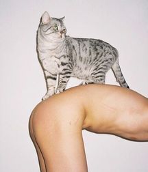 the collection of strange photos 5ceaa9467409f.jpg