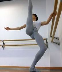 the graceful features of the dancers 5cf01630f35e7.jpg