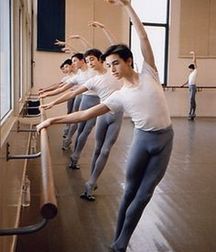 the graceful features of the dancers 5cf0164713e78.jpg