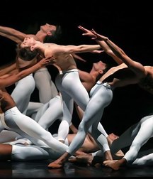 the graceful features of the dancers 5cf0165535ff7.jpg