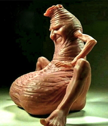 strange and funny  5d0338c86a957.jpg