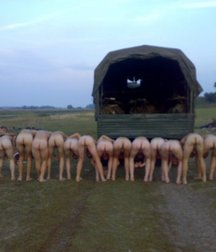 strange life of the soldiers 5d275918c3714.jpg