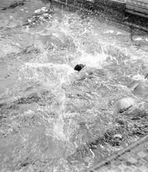 once upon a time in the pool .... 5d2ff529a2dc1.jpg