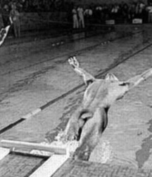 once upon a time in the pool .... 5d2ff54043981.jpg