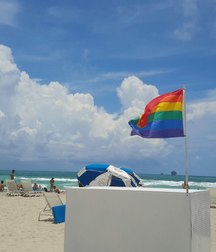 the rainbow 5d329cde731ae.jpg