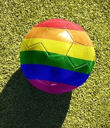the rainbow 5d329d269c9fc.jpg