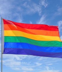 the rainbow 5d329d2862da2.jpg