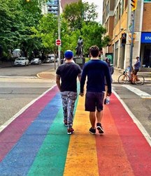 the rainbow 5d329d312c047.jpg
