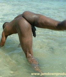 a dip in the water 5d33e9d2d9287.jpg