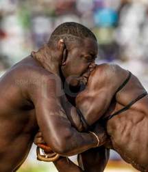 beautiful African wrestlers 5d3b36eba32e8.jpeg