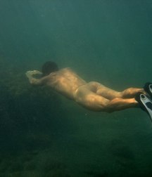 underwater life 5d404978d3d48.jpg