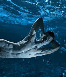 underwater life 5d40498ee40bf.jpg
