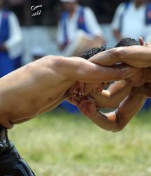 spectacular Turkish wrestlers 5d46750f3ae67.jpg