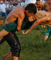 spectacular Turkish wrestlers 5d4675215b93d.jpg