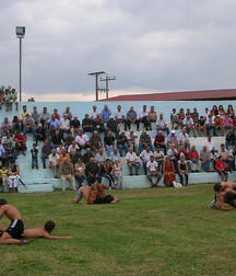 spectacular Turkish wrestlers 5d46752974fd9.jpg