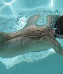 swim naked 5d467650ea51f.jpg