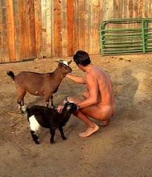 the puppies of the boys 5d47ce559b13c.jpg