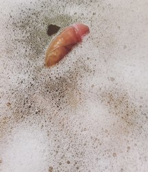 funny cocks 5d60c419559bd.jpg
