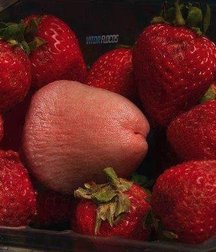 funny cocks 5d60c42950a5d.jpg