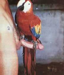 funny cocks 5d60c439058e4.jpg