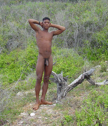 the bare armpit 5d715885d3b69.jpg