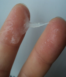 the warm seed on the hand 5d7158c86e9e1.jpg