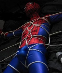 super sexy heroes 5d77c8309f650.jpg
