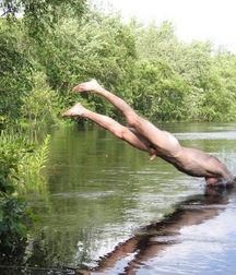 the perfect dive 5d77c8fdc1b6a.jpg