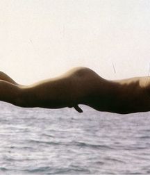 the perfect dive 5d77c90982882.jpg