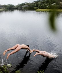 the perfect dive 5d77c9246063b.jpg