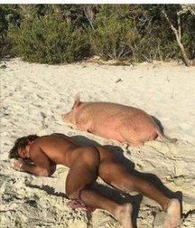 funny and crazy photo 5d8e0f2ceafe9.jpg