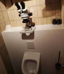 funny and crazy photo 5d8e0f346a96e.jpg