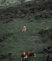 admire the landscape 5d927b330c10e.jpg