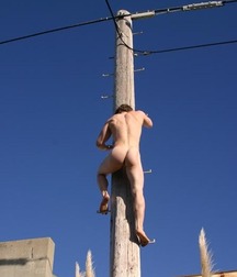 funny pictures 5d970b3888383.jpg