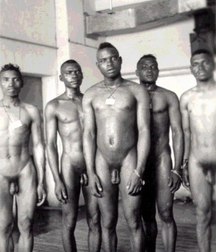 it happened a century ago 5d9ac2e0475d2.jpg